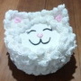 Fabiana Parra Altarego Bianchi