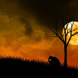 aparecida ofelia pires de almeida pires de almeida