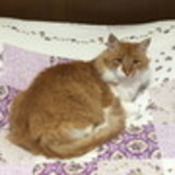 Maria Luiza da S. Mattos