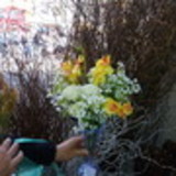 Eliene de Jesus Pereira