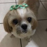 Gabriela Lícia Santos Ferreira