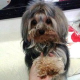 Bruna Cipriano Pigatti