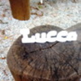 Fernando Fernandes Dantas