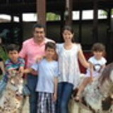 alessandra fernandes da silva alves