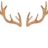 Karine Machado de Carvalho