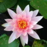 Ateliê Gaida Ornelas