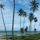 ANELIZE ELAINE IMBERT e