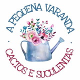 RENATA PEREIRA SILVA