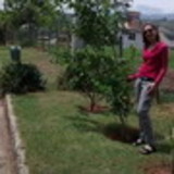 Suzana Reiter Carvalho