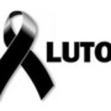 Michelle Castanheira