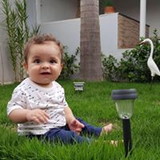 camila aparecida cintra sene