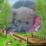 Maria das graças Xavier Lopes