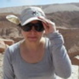 Cristina Falcão de mendonça