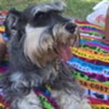 Larissa Galvão Vieira