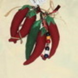 Maria Aparecida da Silva Santos