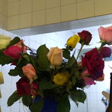 Potira de Souza Bezerra Lobo