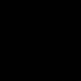 Camila Lopes Reis Rodrigues