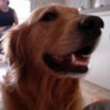 Marcela Rodriguez Saravia