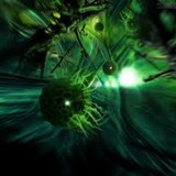 Zuleica Cerqueira S Ahlert