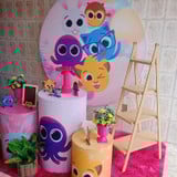 ISABELA SANTOS RIBEIRO