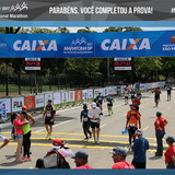 Renard silva de castro