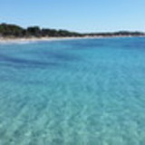 Priscila de Siqueira Gomes Fonseca