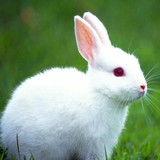 Suelen cristina de Souza