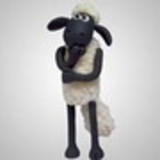 Leandro Furlan Carneiro