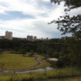 Vanessa Yris Simões Rodrigues