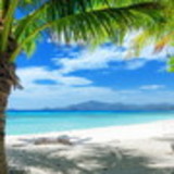 Agda Cristina Pereira da Silva Alves