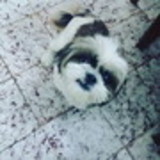 Caroline Nascimento Brito