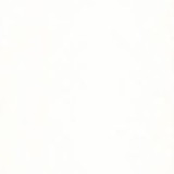 Alice Ceci Maia Assumpção