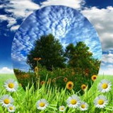 arlete da silva gaia bonifacio