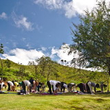 MILENE PEREIRA ATELA