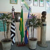 CM Gov Mário Covas Júnior