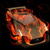 Delmir José Gon Munhoz