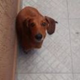 Janete Tamami Quitanaca