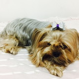 Jaciara Otogalli Balbino