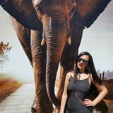 Giselle Fragoso Cintra