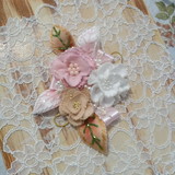 gercilia leonardelli daros