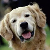 MARIA ECILENE COSTA DE SOUZA