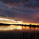 Camila Lopes de Souza