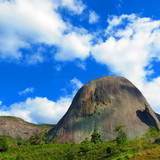 Gisele Dornelas Bassani