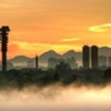 SANDRA MARA DALMOLIM