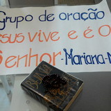 ARACELI RENATA DE CASTRO