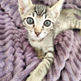 Selma Xavier de Queiroz