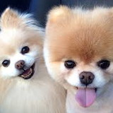 Sérgio Luiz Magalhães