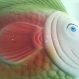 Rita de Cassia Wiethorn