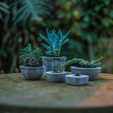 meu mundo de concreto