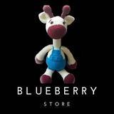 Blueberry Store